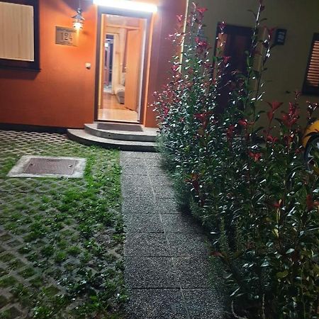 Terme Catez Apartma Nine Catez ob Savi Exterior photo