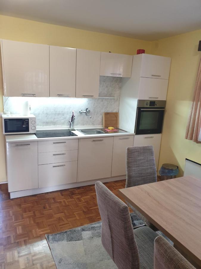 Terme Catez Apartma Nine Catez ob Savi Exterior photo