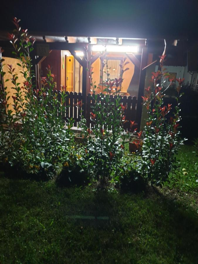 Terme Catez Apartma Nine Catez ob Savi Exterior photo