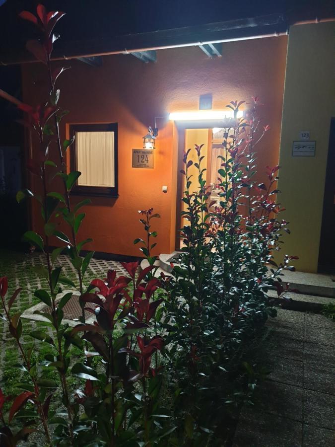 Terme Catez Apartma Nine Catez ob Savi Exterior photo